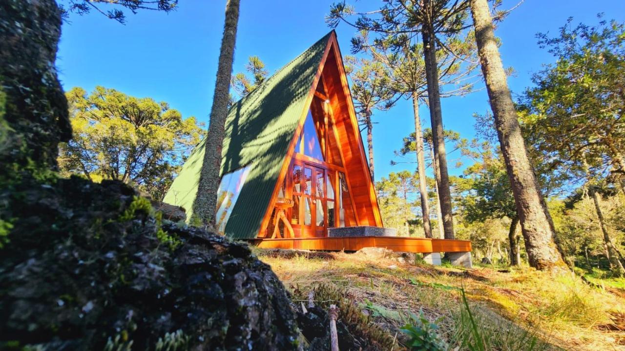 Maçã Araucária Chalet
