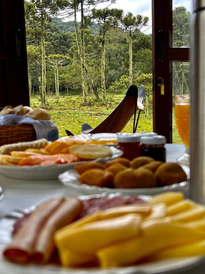 Maçã Araucária São Joaquim