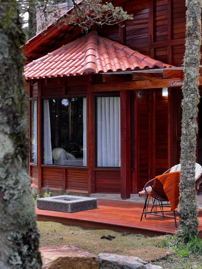 Maçã Araucária Chalet *